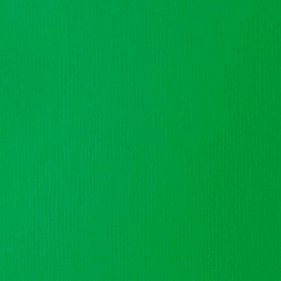 Liquitex BASICS Acrylic Paint Tube, Light Green Permanent, 250 mL (LIQ4385312)