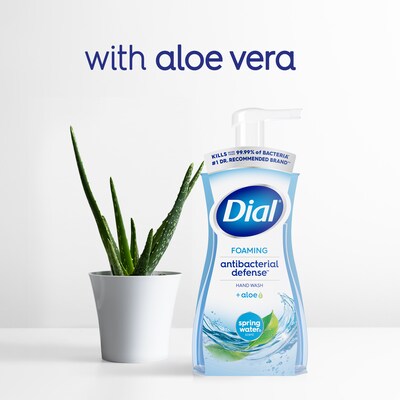 Dial Antibacterial Foaming Hand Soap, Spring Water Scent, 8/Carton (017000347394)