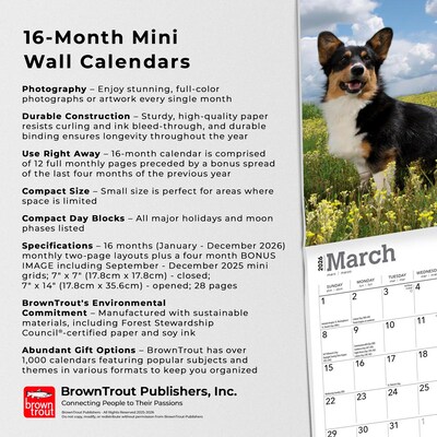 2026 BrownTrout Welsh Corgis 7" x 7" Monthly Wall Calendar (9798330706228)