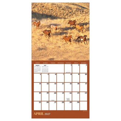 2027 TF Publishing Horses 7 x 7 Monthly Wall Calendar, Multicolored (27-2001)