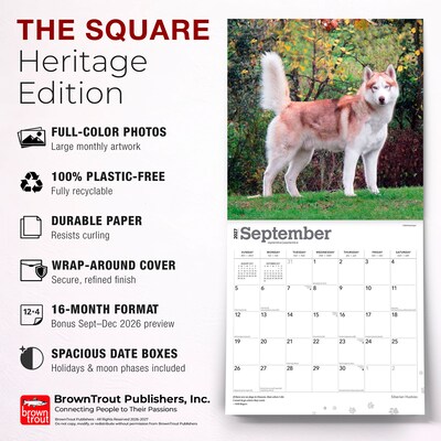 2027 BrownTrout Siberian Huskies 12" x 12" Monthly Wall Calendar (9798330712694)
