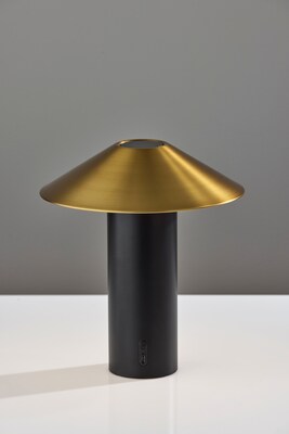 Adesso ADS360 Pina 10.5"H LED Table Lamp, Black/Antique Brass (AD9205-01)