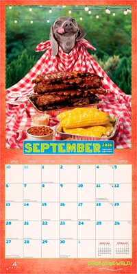 2026 BrownTrout Dogs Gone Wild 12" x 12" Monthly Wall Calendar (9798330701445)