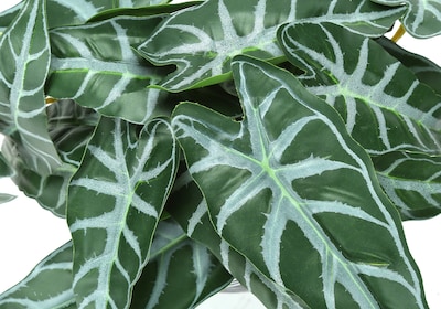 Monarch Specialties Inc. 8" Artificial Alocasia Plant in Pot, 2/Set (I 9559)