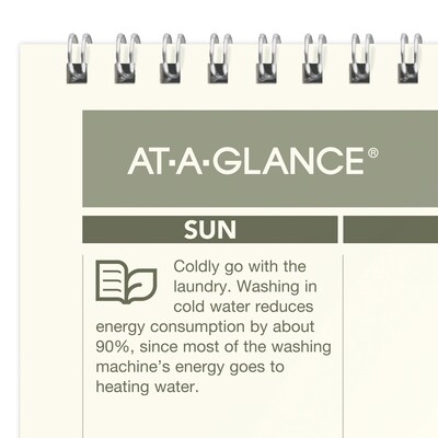 2026 AT-A-GLANCE Recycled 15" x 12" Monthly Wall Calendar, Green/Black (PMG77-28-26)