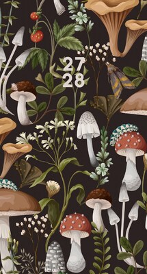 2026-2028 Willow Creek Mushrooms 3.5 x 6.5 Monthly Pocket/Wallet Calendar, Assorted Colors (66768)