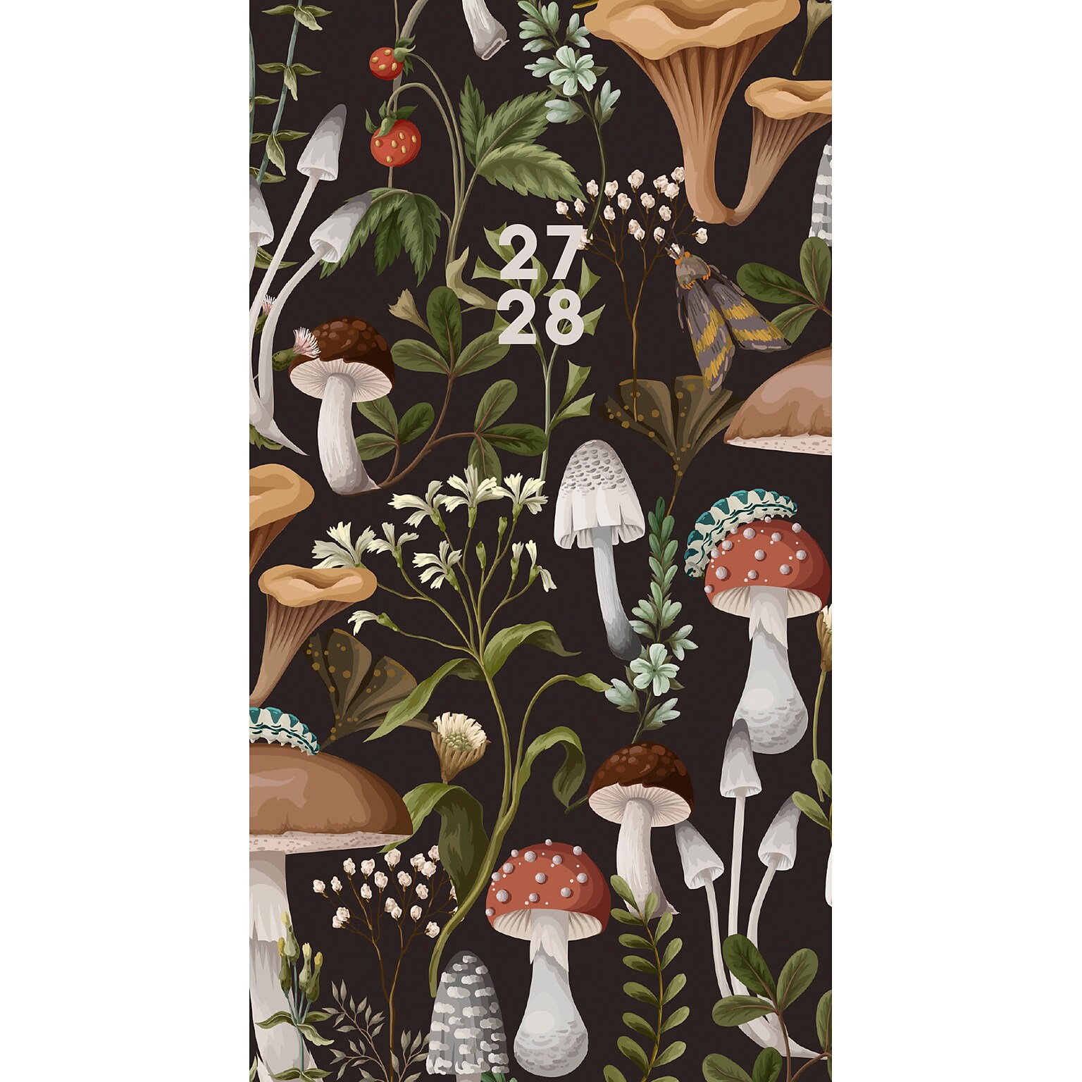 2026-2028 Willow Creek Mushrooms 3.5 x 6.5 Monthly Pocket/Wallet Calendar, Assorted Colors (66768)