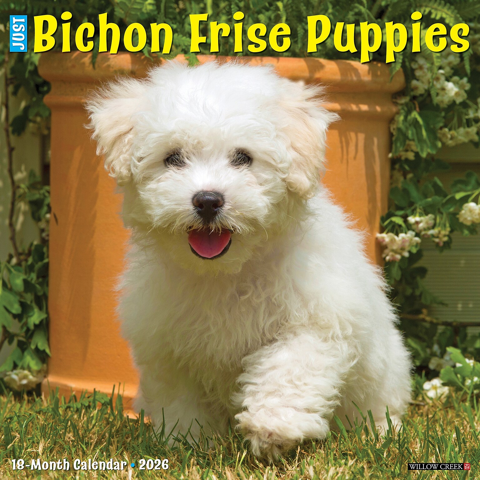 2026 Willow Creek Bichon Frise Puppies 12 x 12 Monthly Wall Calendar (50231)