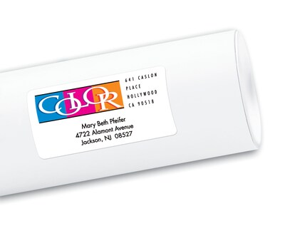 Avery Sure Feed Inkjet Shipping Labels, 2" x 4", White, 200 Labels/Pack (8253)