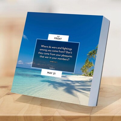 2027 TF Publishing Daily Verse 5.25" x 5.25" Daily Day-to-Day Calendar, Multicolored (27-3006)