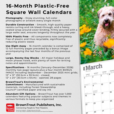 2026 BrownTrout Soft Coated Wheaten Terriers 12" x 12" Monthly Wall Calendar (9798330706310)