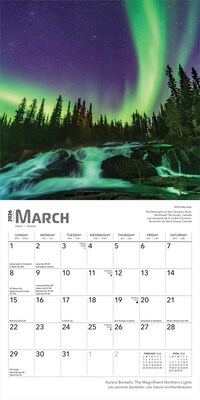 2026 BrownTrout Aurora Borealis 7" x 7" Monthly Wall Calendar (9798330708055)