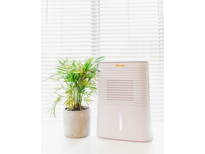 Crane 1.27-Pint Portable Dehumidifier, 2-Speed, Covers up to 300 sq. ft., White (EE-1000)
