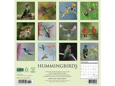 2025 Willow Creek Hummingbirds 12 x 12 Monthly Wall Calendar (43400)