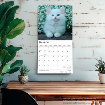 2026 BrownTrout I Love Kittens 12" x 12" Monthly Wall Calendar (9798330704149)
