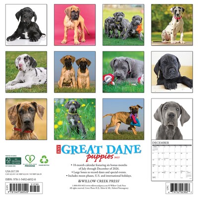 2027 Willow Creek Great Dane Puppies  12 x 12 Monthly Wall Calendar (60520)