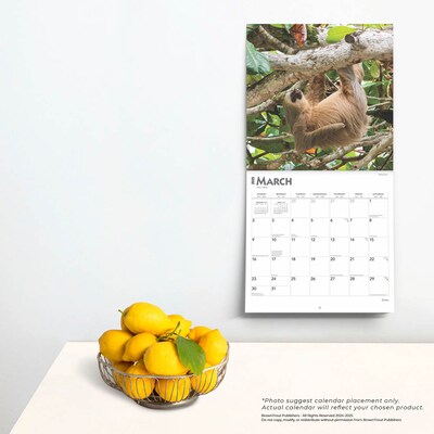 2025 BrownTrout Sloths 12" x 12" Monthly Square Wall Calendar (9781975475703)