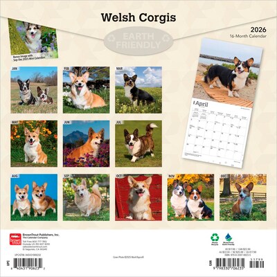 2026 BrownTrout Welsh Corgis 12 x 12 Monthly Wall Calendar (9798330706235)