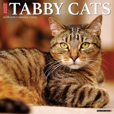 2025 Willow Creek Just Tabby Cats 12 x 12 Monthly Wall Calendar (45060)
