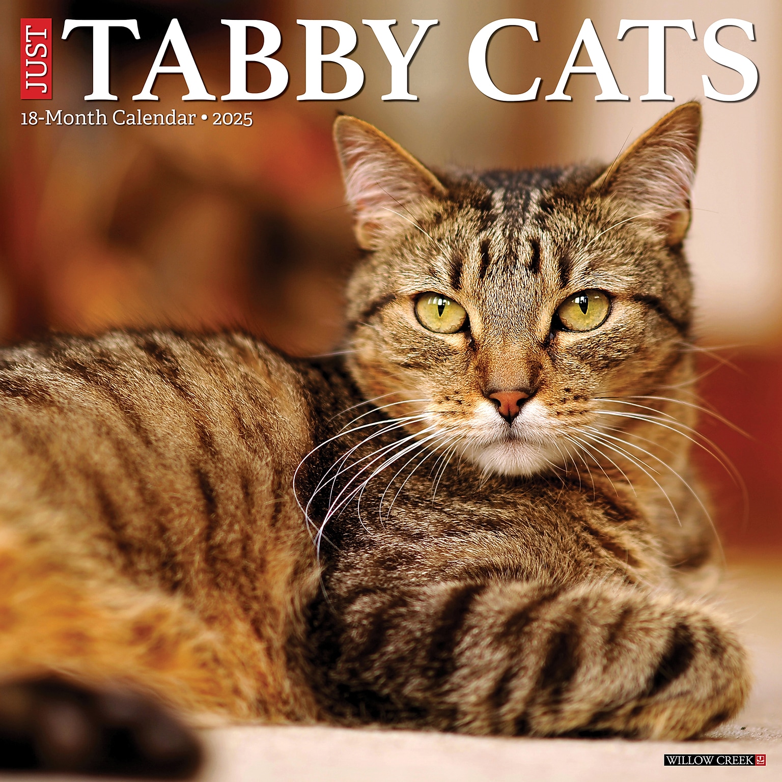2025 Willow Creek Just Tabby Cats 12 x 12 Monthly Wall Calendar (45060)