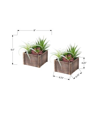 Monarch Specialties Inc. 10" Artificial Succulent in Pot, 2/Set (I 9371)