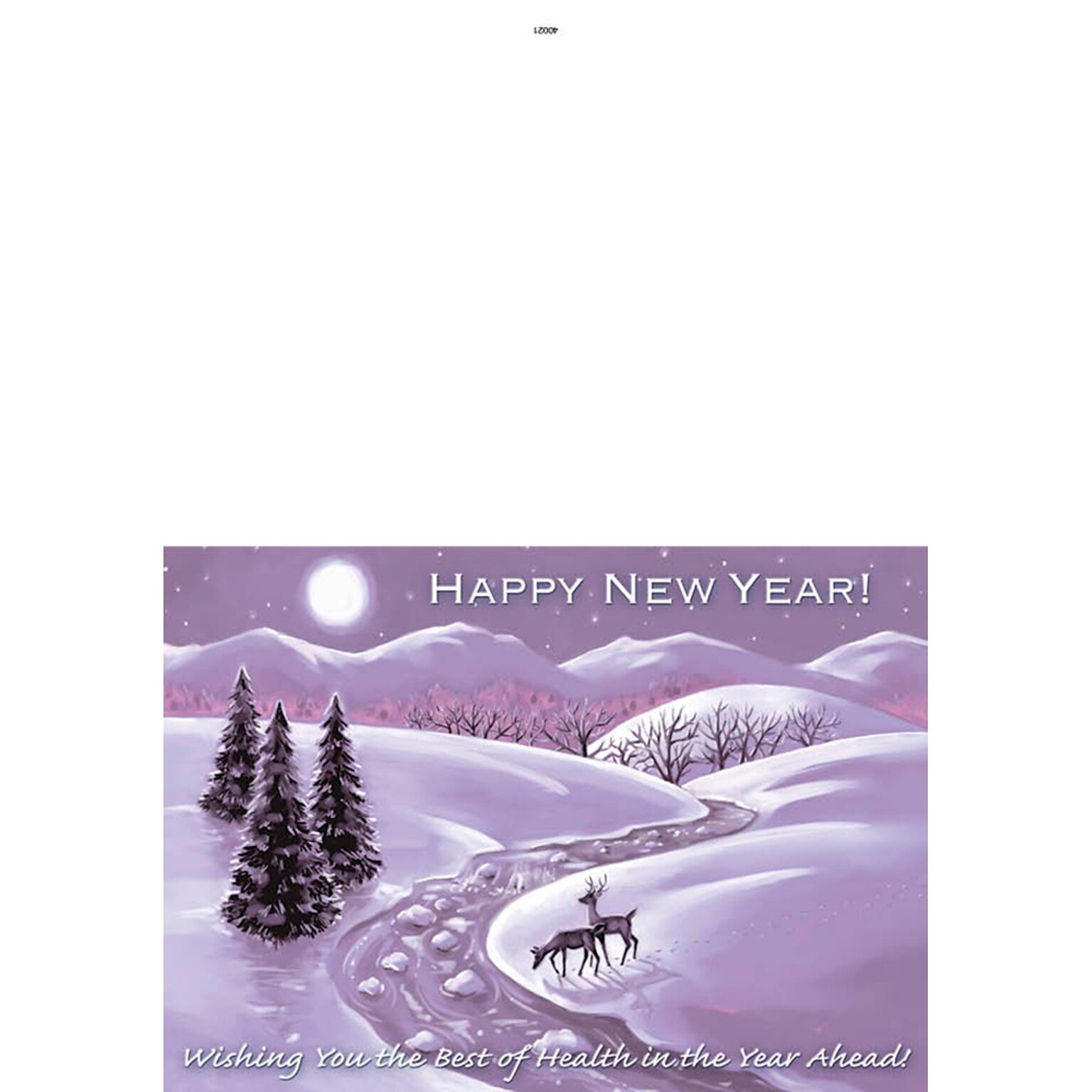 Happy New Year - wishing you the best of health in the new year -7 x 10 scored for folding to 7 x 5, 25 cards w/A7 env per set