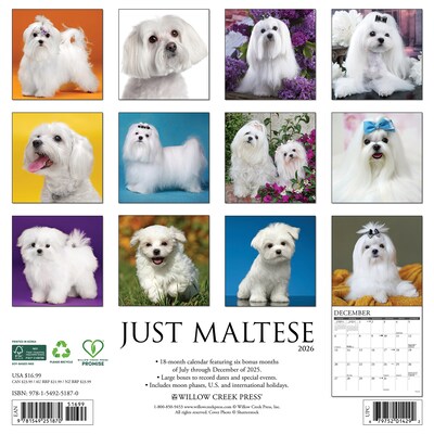 2026 Willow Creek Maltese 12 x 12 Monthly Wall Calendar (51870)