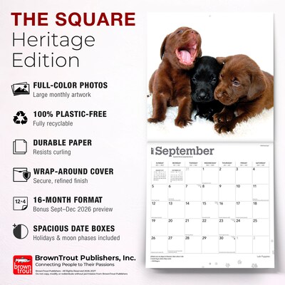 2027 BrownTrout Labrador Retriever Puppies 12" x 12" Monthly Wall Calendar (9798330712519)