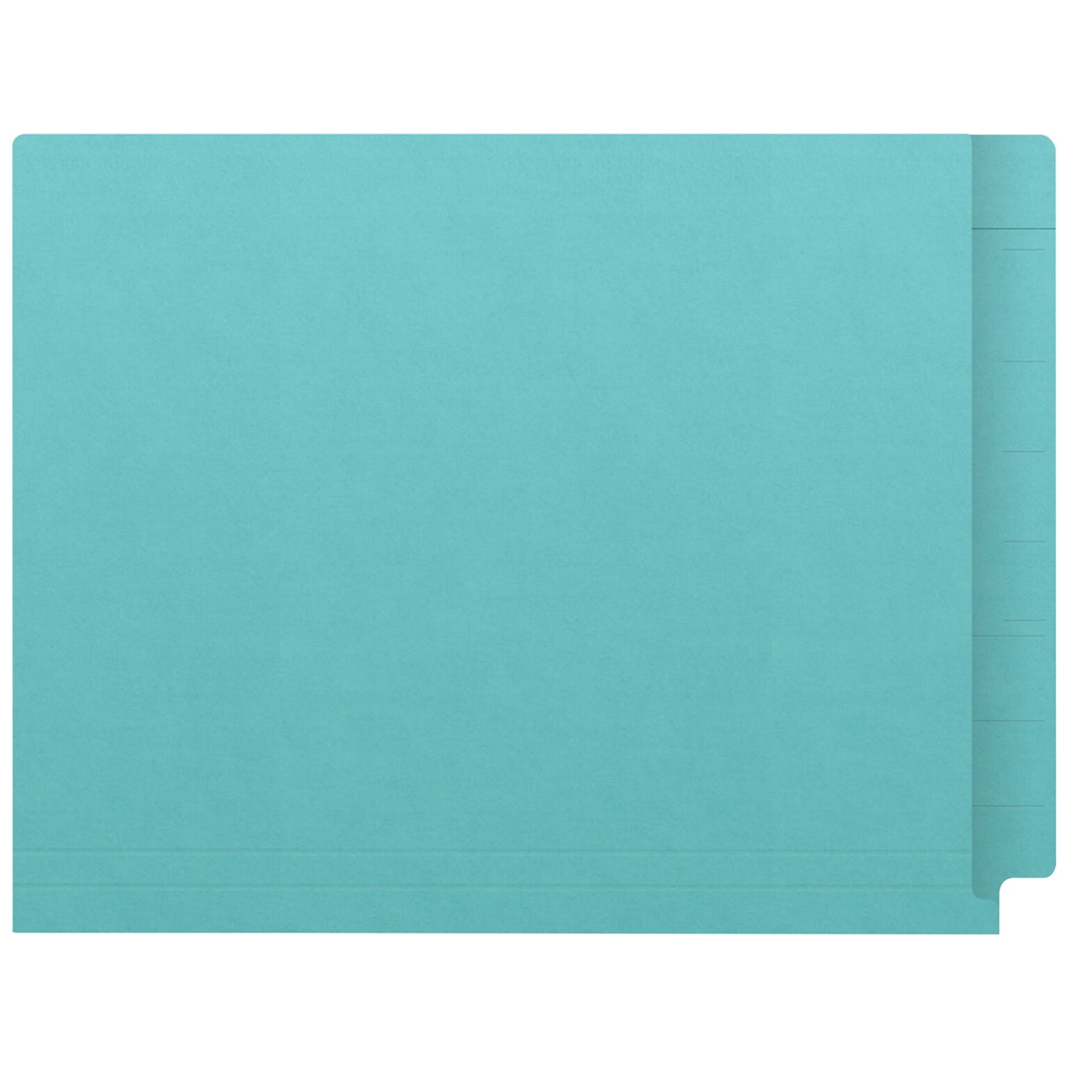 Medical Arts Press Kardex Match Reinforced End Tab File Folder, Straight Cut, Letter Size, Light Blue, 100/Box (S-09482-LBL)