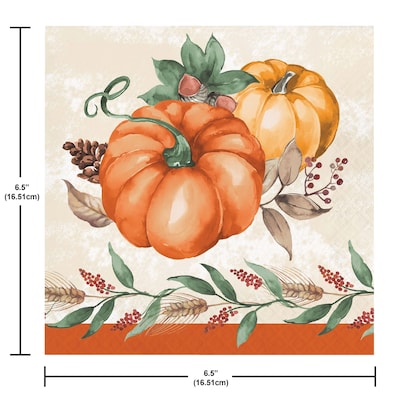 Say Hooray! Harvest Delight Paper Plates and Napkins Kit, Multicolored, 48/Pack (DTC9388E2G)