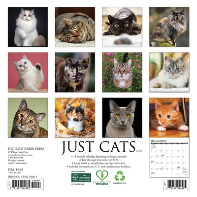 2027 Willow Creek Cats 7 x 7 Monthly Wall Calendar (64085)