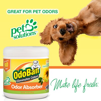 OdoBan Deodorizer Solid, Citrus Scent, 14 oz. (9735K61-14Z12D)