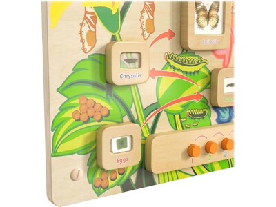 Flash Furniture Bright Beginnings Butterfly Life Cycle Wall Activity Board (MK-ME12883-GG)
