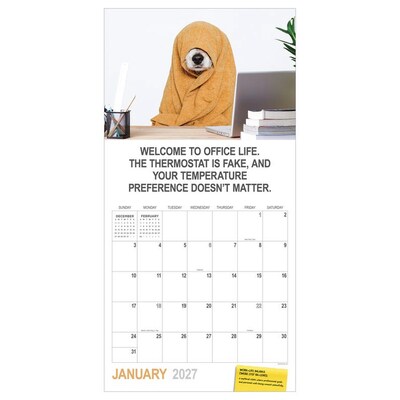 2027 TF Publishing Desk Dogs 10 x 12 Monthly Wall Calendar, Multicolored (27-1052)
