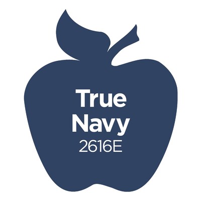 Apple Barrel Acrylic Paint Matte, 8oz., True Navy, 6/Pack (APP2616E-6)