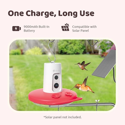 Birdfy Smart Hummingbird Feeder Ruby with Camera and AI by Subscription, Red (EPPAMBNI8902100)