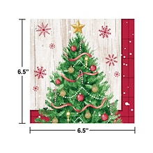 Creative Converting Vintage Christmas Napkin, Multicolor, 48/Pack (DTC366959NAP)