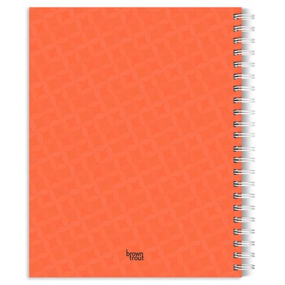 2027 BrownTrout National Parks 6.5 x 7.8 Calendar Year Weekly Standard Planner, Multicolor (9798330709403)