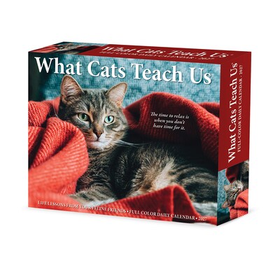 2027 Willow Creek What Cats Teach Us 5.4 x 6.2 Day-to-Day Calendar (63828)