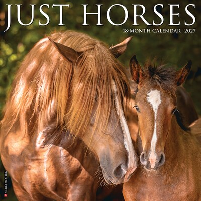 2027 Willow Creek Horses 12 x 12 Monthly Wall Calendar, Assorted Colors (60704)