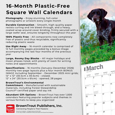 2026 BrownTrout German Shorthaired Pointers 12" x 12" Monthly Wall Calendar (9798330703401)