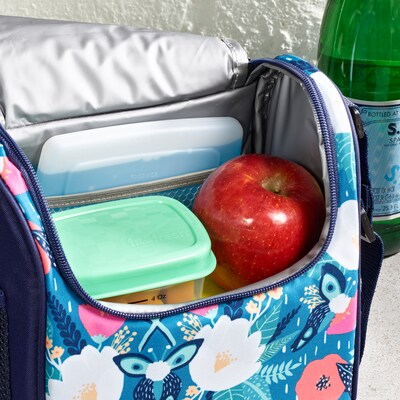 Fit & Fresh Cool Coolers Slim Ice Pack, Clear Blue, 2/Pack (336K2TGCDU10)
