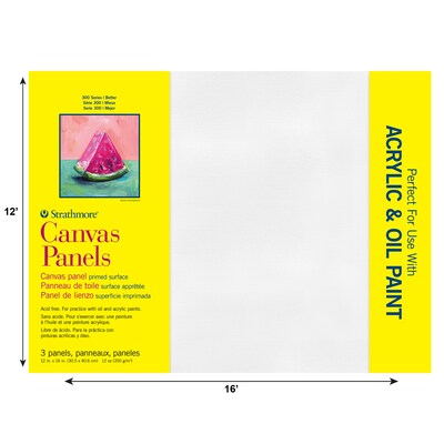 Strathmore 300 Series Primed Primed White Canvas Panel, 12 x 16, 3/Pack (STTP31112)