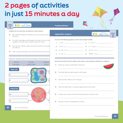 Summer Bridge Activities Grades 8-9 Activity Book (705523)