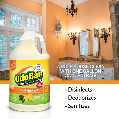 OdoBan Air Freshener & Deodorizer, Citrus Scent, 1 Gallon (911661-G4)