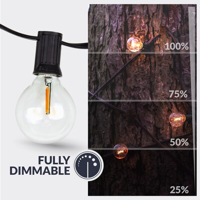 Newhouse Lighting Globe Party LED String Lights with Wireless Remote Dimmer, 50 ft., Black (PSTRINGLEDDIM)