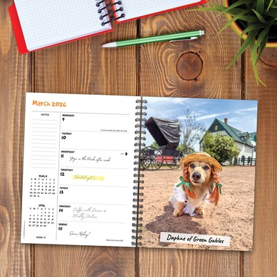 2026 Willow Creek Crusoe the Celebrity Dachshund 6.5" x 8.5" Daily & Monthly Personal Organizer (54611)