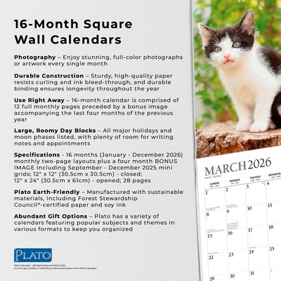 2026 Plato Kitten Cuddles 12" x 12" Monthly Wall Calendar (9798330706792)