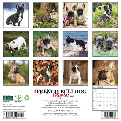 2027 Willow Creek French Bulldog Puppies 12 x 12 Monthly Wall Calendar, Assorted Colors (60292)