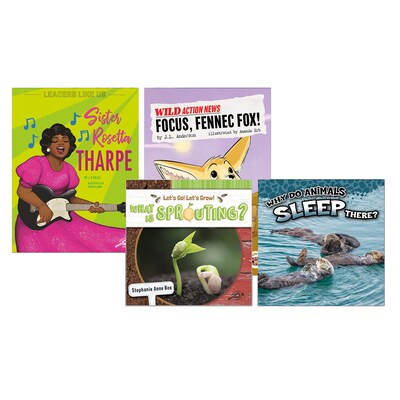 Spectrum Language and Literacy Backpack, Grade 2 Workbook, 6/Set (CD-745411)